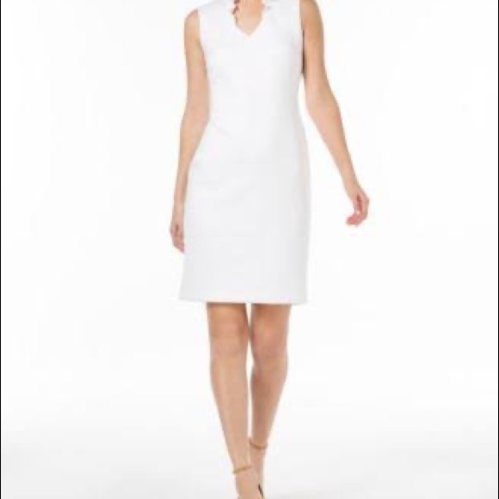 Calvin Klein Women's Sleeveless Fitted Sheath Dress